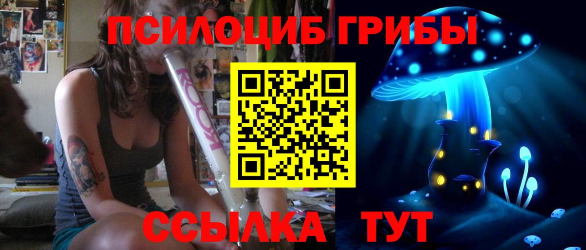 Галлюциногенные грибы мицелий Курск