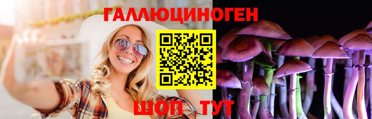 Галлюциногенные грибы мухоморы  Вход с VPN  Галлюциногенные грибы MAGIC MUSHROOMS  Курск 